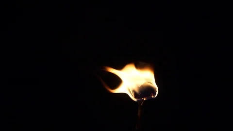Flame burns out of decorative wine bottle torch Stock Footage 111470706