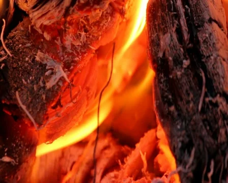 Flame in campfire Stock Footage 10918967