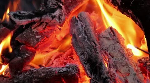 Flame in campfire Stockbeeldmateriaal 10919753