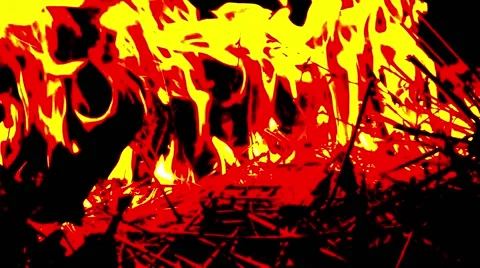 Flame Devours Dry Branches in the Darkness Close up Stock Footage 66425199