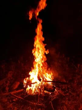 Flame of the evening fire Stock Photos