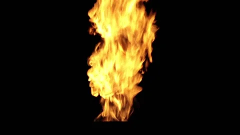 Flame of fire on a black background. Stock Footage 90096562