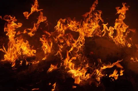 Flame of fire on a black background Stock Photos