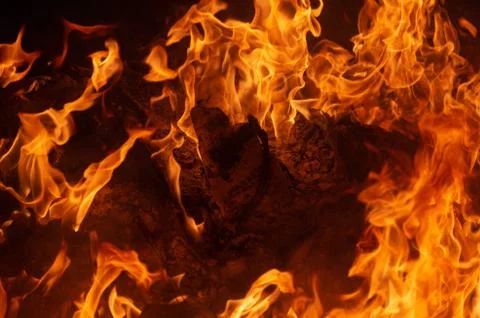 Flame of fire on a black background Stock Photos