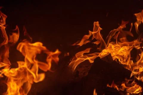 Flame of fire on a black background Stock Photos