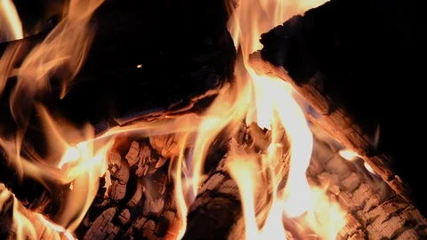 Flame fire of bonfire with birch firewood on night Stock Footage 118701292
