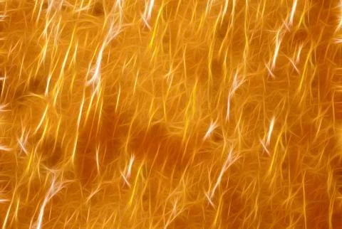 Flame, fire, bonfire languages, light lines, abstraction, background Stock Illustration