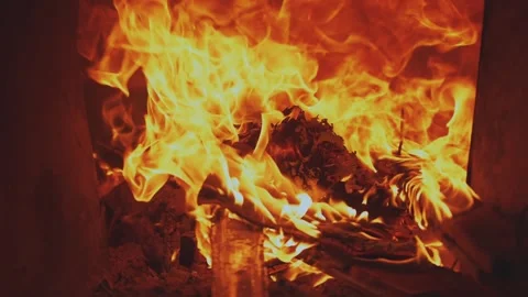 Flame of fire, bonfire, tongues of flame Video stock 299409598