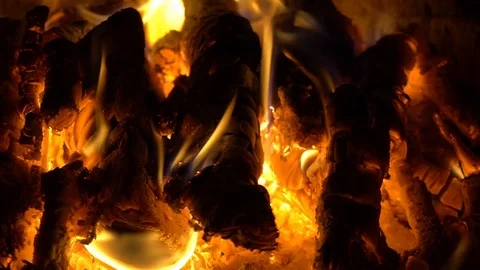 Flame Of fire burning logs slow mo Stock Footage 100367348