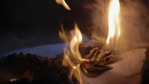 Flame of fire burns pile of documents associated with war and destruction Stock Footage 117994419