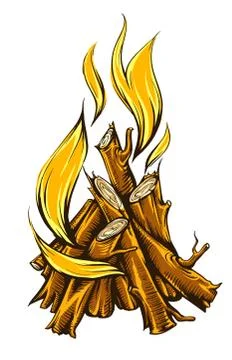Flame fire of campfire with firewood 스톡 일러스트