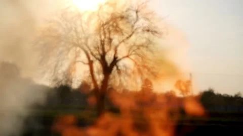 Flame of a fire close-up on a tree background Stock Footage 89415846