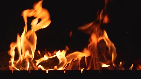A flame of fire with coals at night Stock Footage 318463819