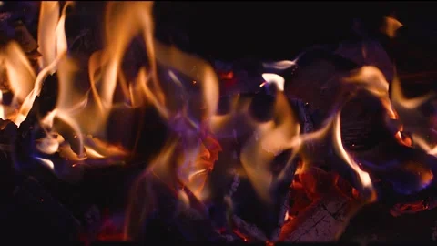A flame of fire with coals at night Stock Footage 318463832