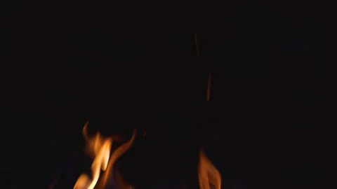 A flame of fire with coals at night Stock Footage 318463835