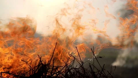 The flame of the fire devours the dry grass in the field Stock Footage 89415840