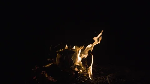 Flame of fire fireplace on a black background Stock Footage 123673306