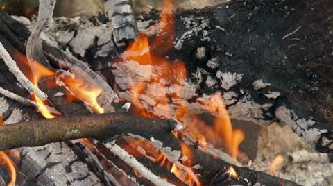 Flame of fire Video stock 42126075