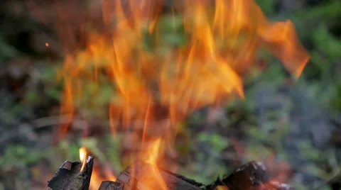 Flame fire Stock Footage 50491253