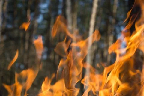 Flame of fire on nature background. Stock Photos