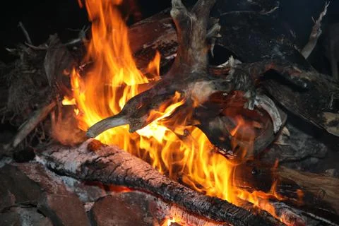 The flame of the fire. Foto stock