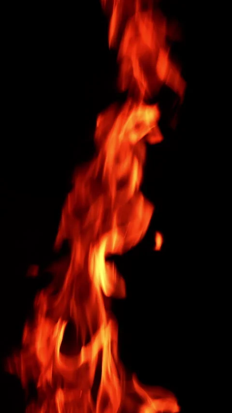Flame of fire rising up in the darkness.  Stock Footage 308305693