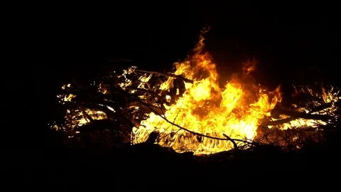 Flame of the fire in slow motion 120 fps. Stock Footage 84946411