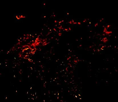 Flame of fire with sparks on a black background Stock Photos