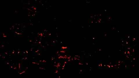 Flame of fire with sparks on a black background Stock Photos