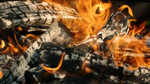 Flame of fire on a tree. Heating chopped firewood in a stone fireplace Stock-Footage 157374056