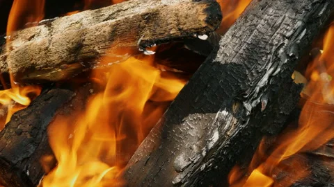 Flame of fire on a tree. Slowly with orange fire flame Heating chopped firewood Stock-Footage 157374323