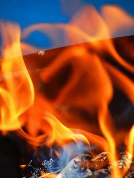 Flame on firewood Stock Photos