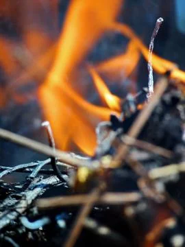 Flame on firewood Foto stock