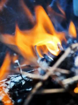 Flame on firewood Foto stock