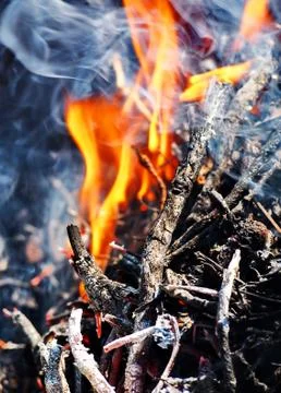 Flame on firewood Stock Photos