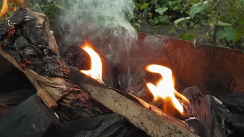 Flame flicker scene. Dancing fire over burnt logs. Cinematic closeup of glowing Stock Footage 345176014
