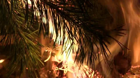 Flame Stock Footage 11029041