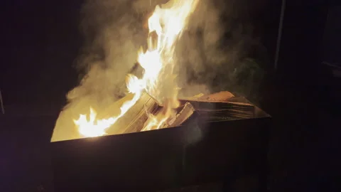 Flame 動画素材 220730124