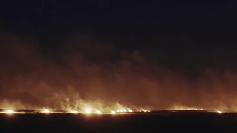 Flame of grass burning on fields Stock Footage 83560984