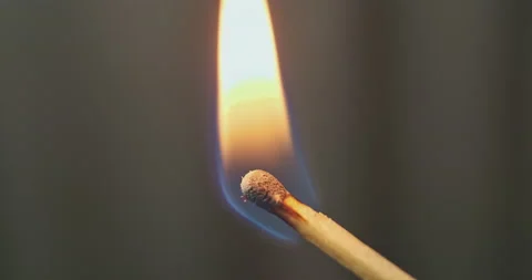 Flame ignites the match. Macro shot, close-up. Burning flames, burning a wooden 動画素材 229532861