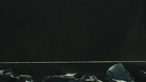 Flame Ignition with Smoke for Prepare Bbq Close-up Stock Footage 156891384