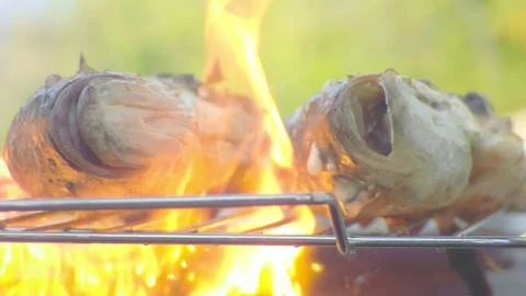 Flame ignition while frying fish on a barbecue Stock Photos