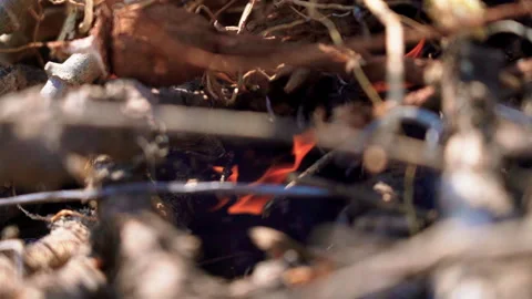 Flame inside burning dry branches pile slowmotion 100fps Stock-Footage 156231542
