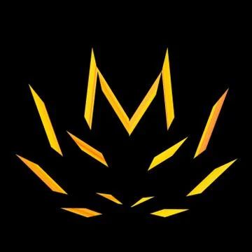 Flame isolated on black background - blazing bonfire at night - malcolored he Stock Illustration