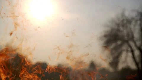 The flame of a large fire against the background of the sun Stock Footage 89415827