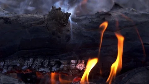 Flame licking the side of smoldering log in slow motion Stock Footage 104061264