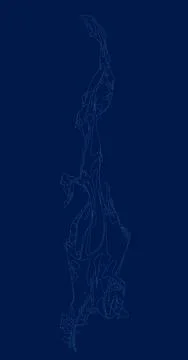 Flame Line contour. Vector illustration 스톡 일러스트