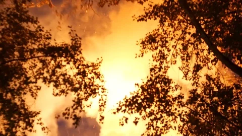 Flame at night Stock Footage 115841345