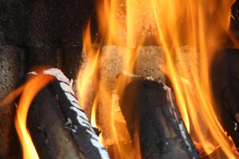 Flame from odorous trunk Stock Photos