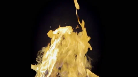 Flame of orange fire on black background. Stock Footage 220605215